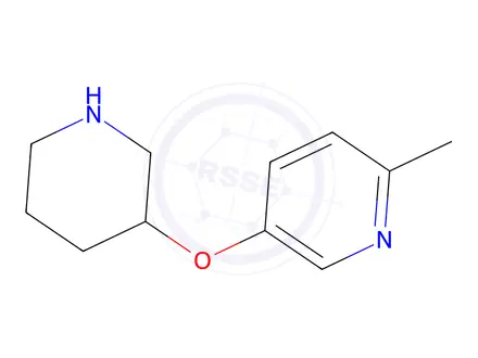 Chemical structure of 6-Methyl-3-pyridinyl3-piperidinylether Dihydrochloride