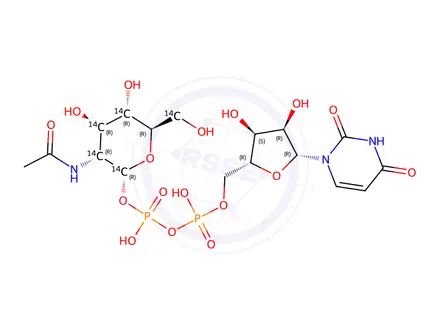 Chemical structure of URIDINE DIPHOSPHATE N-ACETYL-D-GLUCOSAMINE, [GLUCOSAMINE-14C(U)]