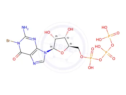 Chemical structure of 8-Bromo-GTP (aqueous solution)