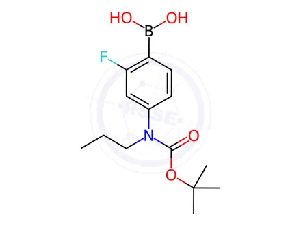 Chemical structure of 4-(N-BOC-N-Propyl)amino-2-fluorophenylboronic acid