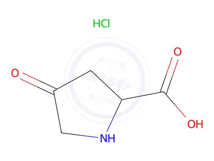 Chemical structure of 4-oxopyrrolidine-2-carboxylic acid hydrochloride