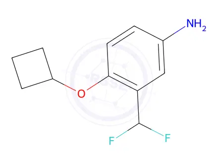 Chemical structure of 4-Cyclobutoxy-3-(difluoromethyl)aniline