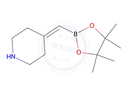Chemical structure of 4-((4,4,5,5-Tetramethyl-1,3,2-dioxaborolan-2-yl)methylene)piperidine