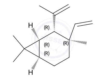 Chemical structure of (1R,6R)-3β-Vinyl-3,7,7-trimethyl-2α-(1-methylethenyl)bicyclo[4.1.0]heptane