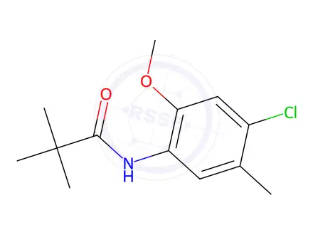 Chemical structure of N-(4-Chloro-2-methoxy-5-methylphenyl)pivalamide