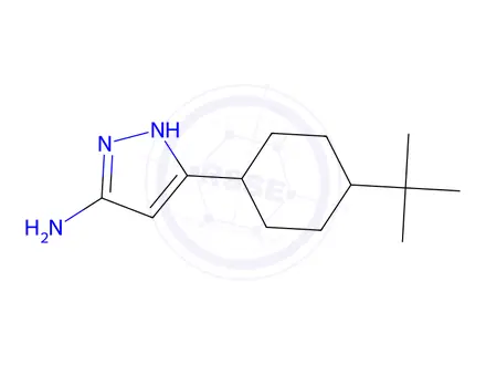 Chemical structure of 3-(4-tert-butylcyclohexyl)-1H-pyrazol-5-amine