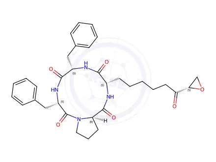 Chemical structure of trapoxin B