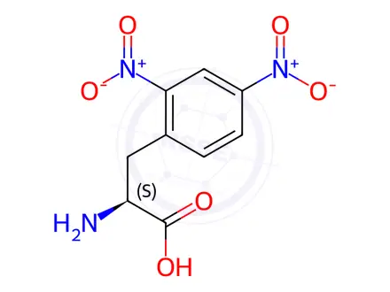 Chemical structure of 2,4-Dinitro-L-Phenylalanine