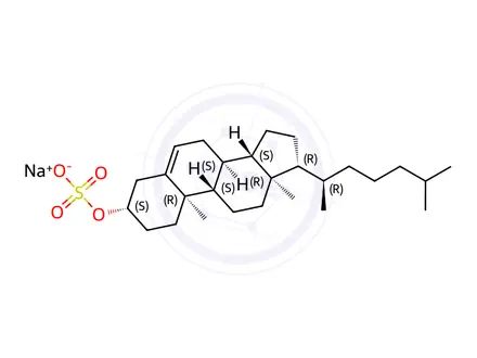 Chemical structure of Cholesterol Sulfate Sodium Salt
