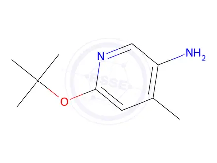 Chemical structure of 6-(Tert-butoxy)-4-methylpyridin-3-amine