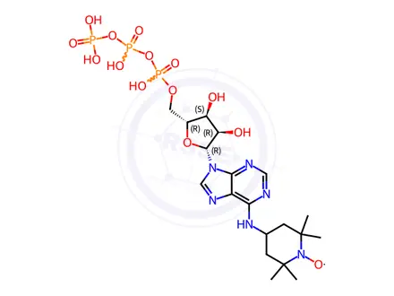 Chemical structure of 6-(2,2,6,6-tetramethylpiperidine-1-oxyl)-adenosine triphosphate