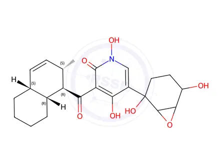 Chemical structure of fischerin