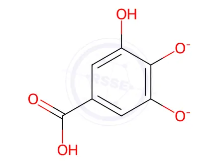 Chemical structure of Mg-Gallate