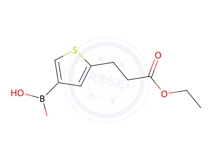 Chemical structure of 5-(3-Ethoxy-3-oxopropyl)thiophene-3-boronic acid