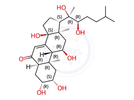 Chemical structure of Ajugasterone C