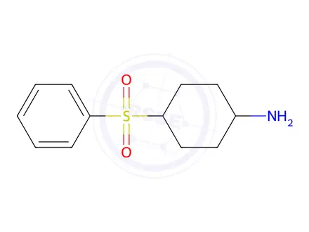 Chemical structure of 4-(Phenylsulfonyl)cyclohexan-1-amine