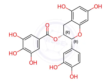 Chemical structure of (-)-Epicatechin gallate