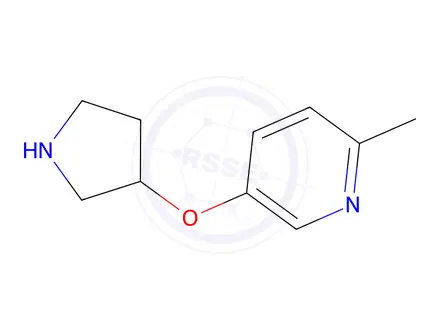 Chemical structure of 2-methyl-5-(pyrrolidin-3-yloxy)pyridine