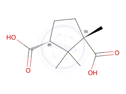 Chemical structure of 1,3-Cyclopentanedicarboxylic acid, 1,2,2-trimethyl-, (1S,3R)-