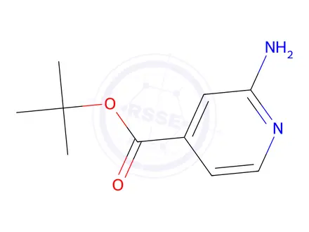 Chemical structure of tert-butyl 2-aminoisonicotinate