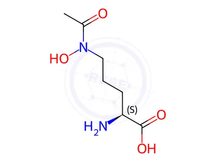 Chemical structure of Ornithine, N5-acetyl-N5-hydroxy-