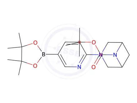 Chemical structure of 3,6-Diazabicyclo[3.1.1]heptane-6-carboxylic acid, 3-[5-(4,4,5,5-tetramethyl-1,3,2-dioxaborolan-2-yl)-2-pyridinyl]-, 1,1-dimethylethyl ester