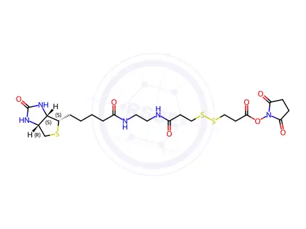 Chemical structure of (3aS,4S,6aR)-N-[2-[[3-[[3-[(2,5-Dioxo-1-pyrrolidinyl)oxy]-3-oxopropyl]dithio]-1-oxopropyl]amino]ethyl]hexahydro-2-oxo-1H-thieno[3,4-d]imidazole-4-pentanamide