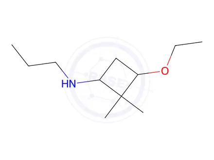 Chemical structure of 3-Ethoxy-2,2-dimethyl-N-propylcyclobutan-1-amine