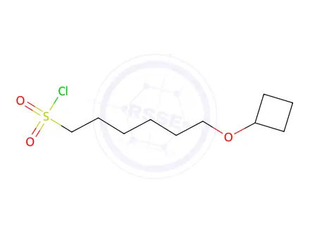Chemical structure of 6-Cyclobutoxyhexane-1-sulfonyl chloride