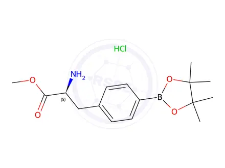 Chemical structure of Methyl (2S)-2-amino-3-[4-(tetramethyl-1,3,2-dioxaborolan-2-yl)phenyl]propanoate hydrochloride