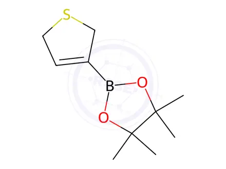 Chemical structure of 2-(2,5-Dihydrothiophen-3-yl)-4,4,5,5-tetramethyl-1,3,2-dioxaborolane