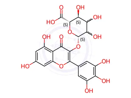 Chemical structure of Myricetin 3-Glucuronide