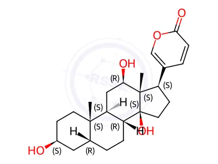 Chemical structure of 12β-Hydroxybufalin