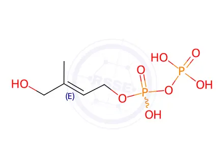 Chemical structure of 1-Hydroxy-2-methyl-2-buten-4-yl 4-Diphosphate