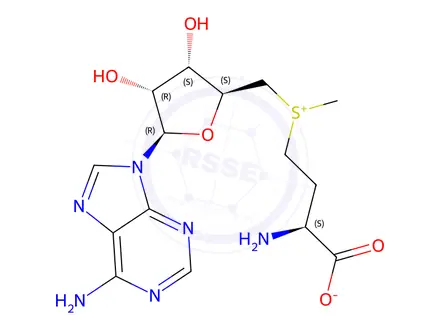 Chemical structure of Ademetionine 1,4-Butanedisulfonate Impurity 26