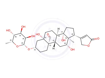 Chemical structure of 3β-[(6-Deoxy-β-D-gulopyranosyl)oxy]-5,12β,14-trihydroxy-19-oxo-5β-card-20(22)-enolide