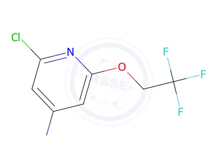 Chemical structure of 2-chloro-6-(2,2,2-trifluoroethoxy)pyridin-4-amine