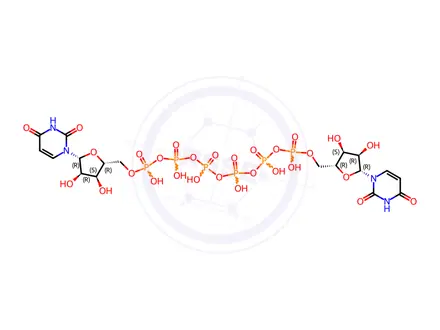 Chemical structure of P1, P6-Di(Uridine-8')-Diphosphate