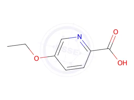 Chemical structure of 5-Ethoxypyridine-2-carboxylic Acid