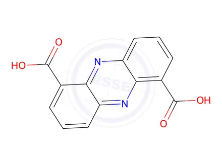 Chemical structure of Phenazine-1,6-dicarboxylic acid