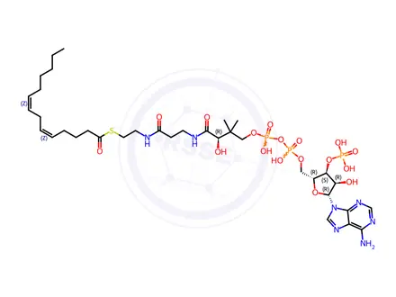 Chemical structure of Coenzyme A Impurity 22