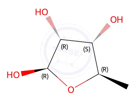 Chemical structure of (2R,3R,4S,5R)-5-Methyloxolane-2,3,4-triol