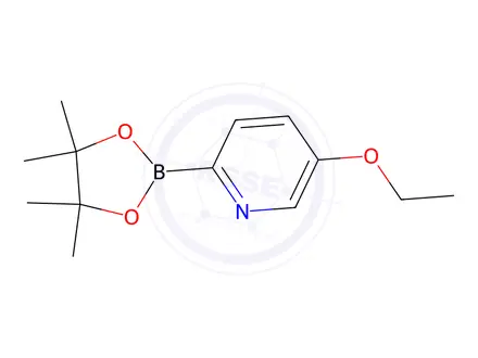 Chemical structure of 5-Ethoxy-2-(4,4,5,5-tetramethyl-1,3,2-dioxaborolan-2-yl)pyridine