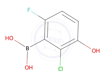 Chemical structure of 2-Chloro-6-fluoro-3-hydroxyphenylboronic Acid