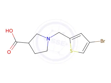 Chemical structure of 1-[(4-bromothiophen-2-yl)methyl]pyrrolidine-3-carboxylic acid