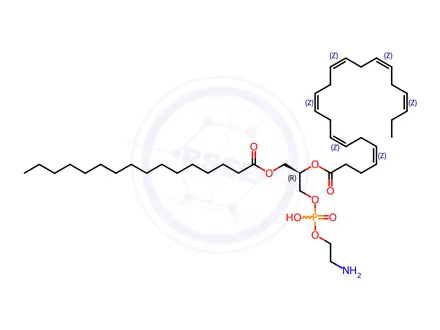 Chemical structure of 16:0-22:6 PE