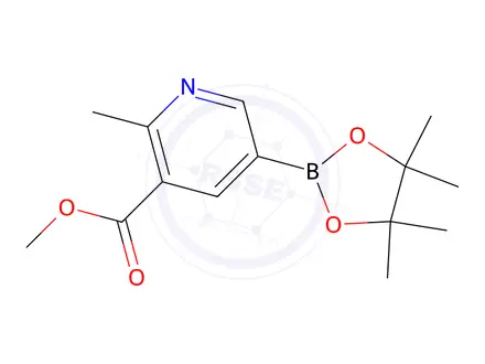 Chemical structure of METHYL 2-METHYL-5-(4,4,5,5-TETRAMETHYL-1,3,2-DIOXABOROLAN-2-YL)NICOTINATE