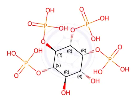 Chemical structure of Myo-Inositol 1,4,5,6-Tetrakis(phosphate)