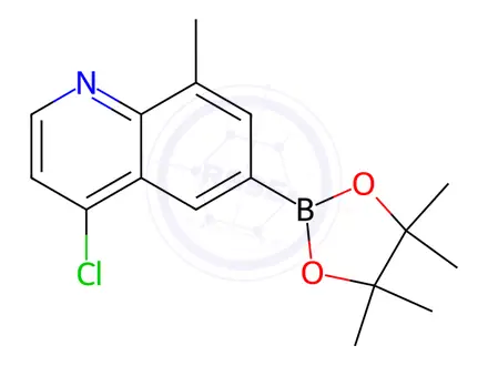 Chemical structure of 4-Chloro-8-methyl-6-(4,4,5,5-tetramethyl-1,3,2-dioxaborolan-2-yl)quinoline