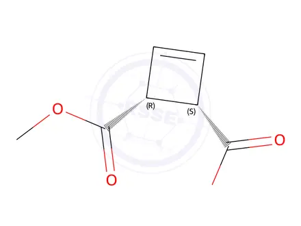 Chemical structure of 3-Cyclobutene-1,2-dicarboxylicacid,monomethylester,(1R,2S)-(9CI)